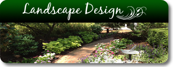 Landscape Design & Installation